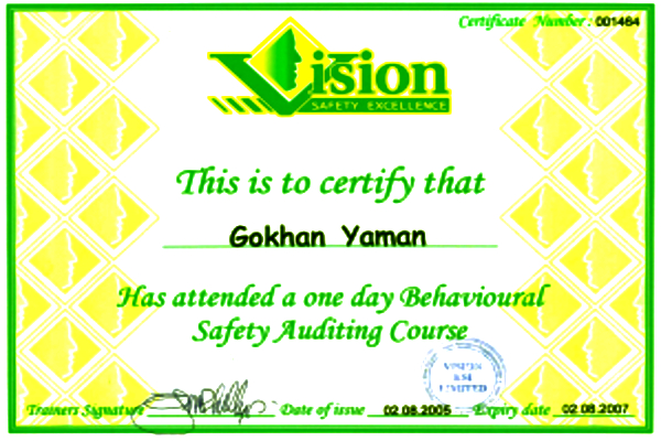 Behavioural Sadety Auditing Course Certificate - 2005-2007